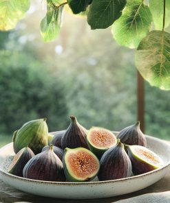 Fig Orchard Fragrance Oil